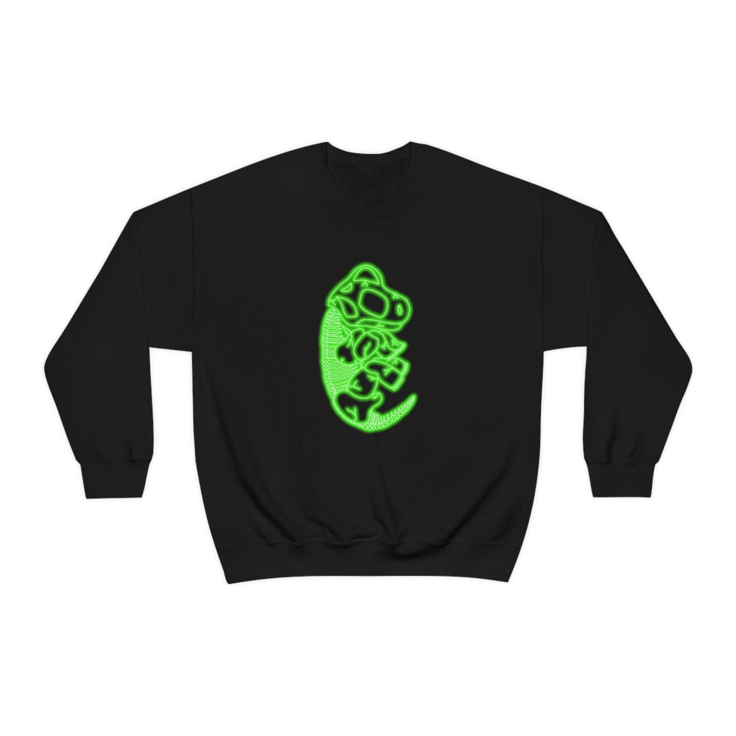 NEON Brachiosaurus Skeleton Sweatshirt - Green