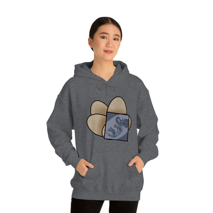 Dinosaur Eggs X-Ray Triceratops Hoodie